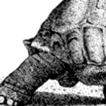 Foto del perfil de Ricardo Govela